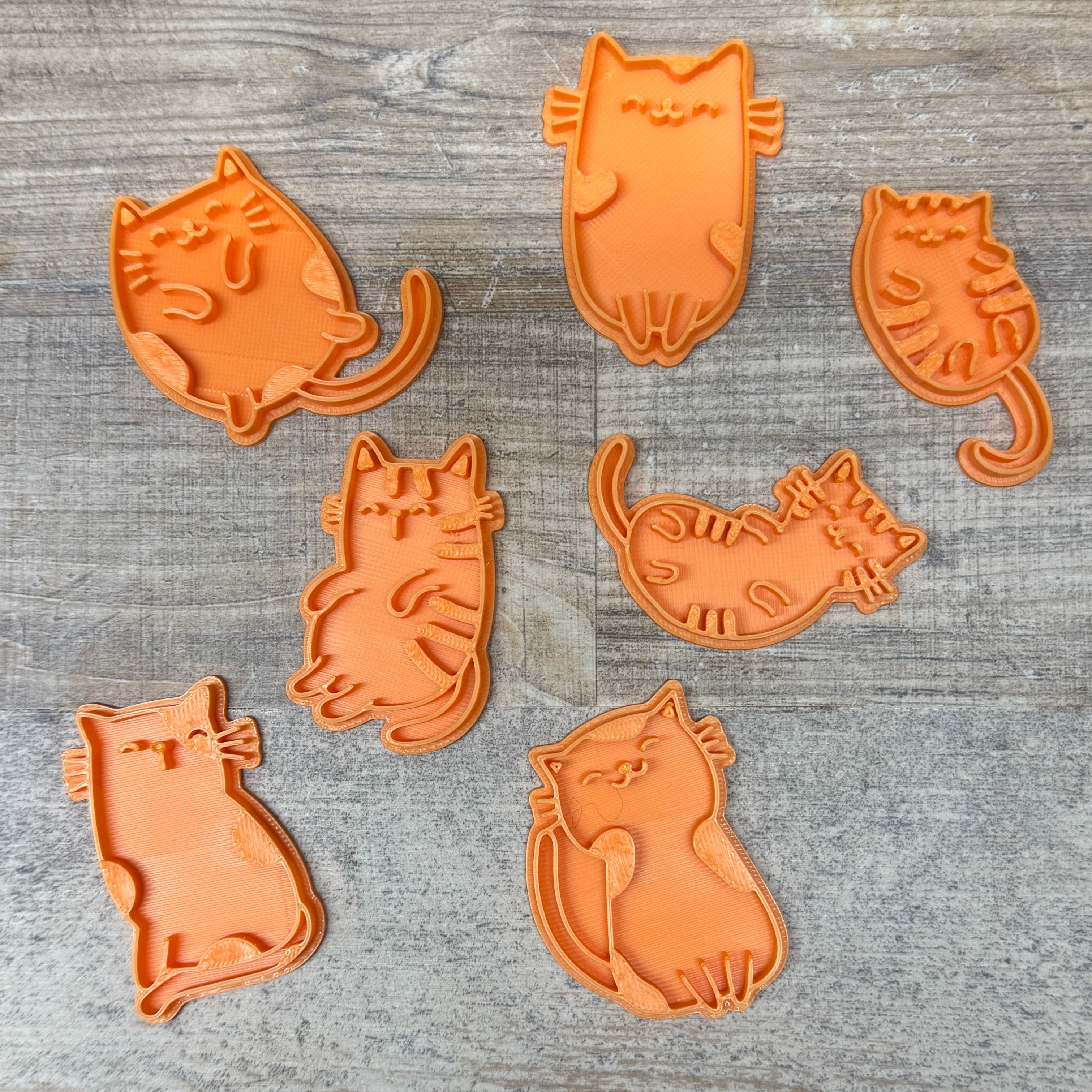 Katzen | verschiedene Sets und einzeln