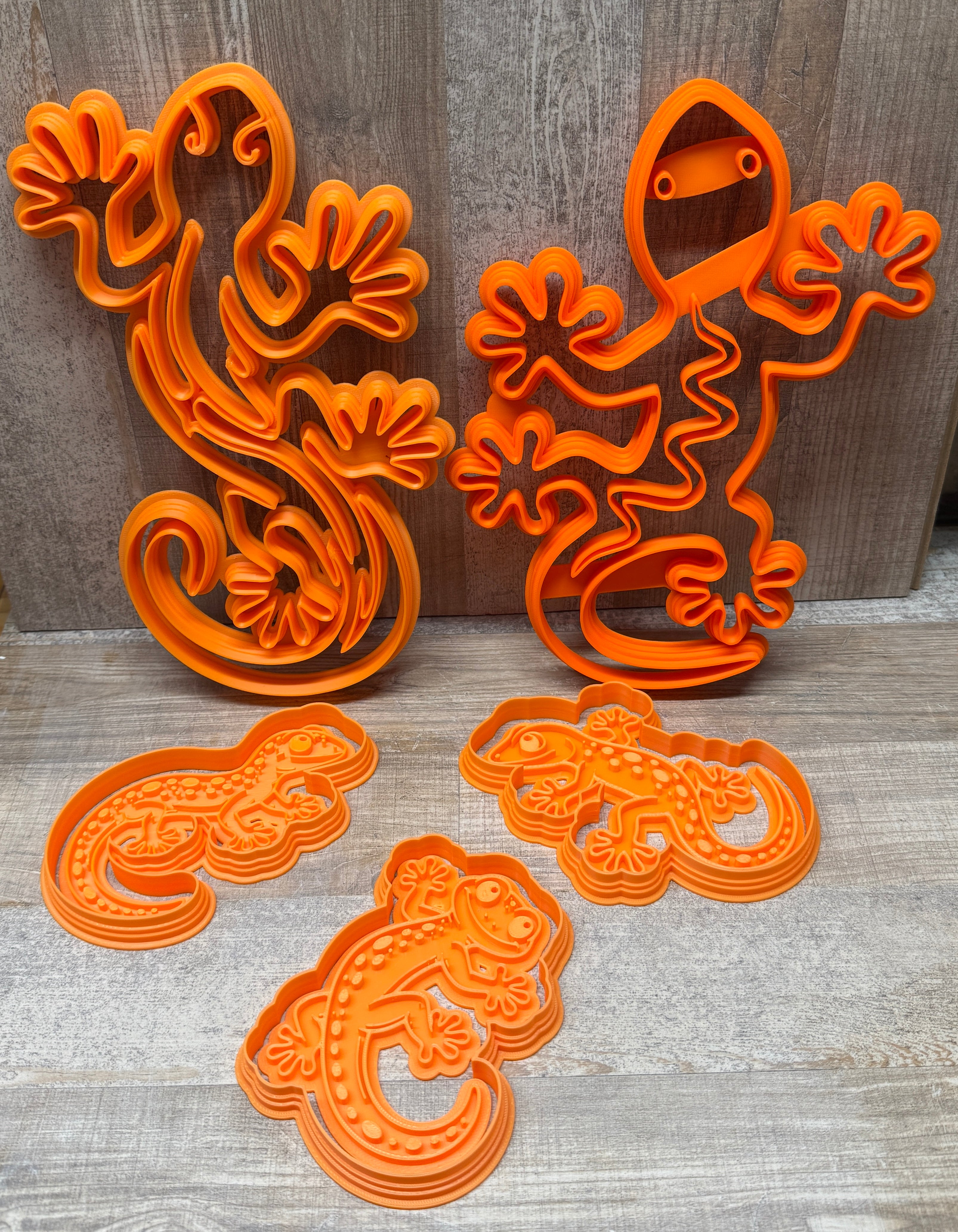 Gecko | Echse  | verschiedene Designs