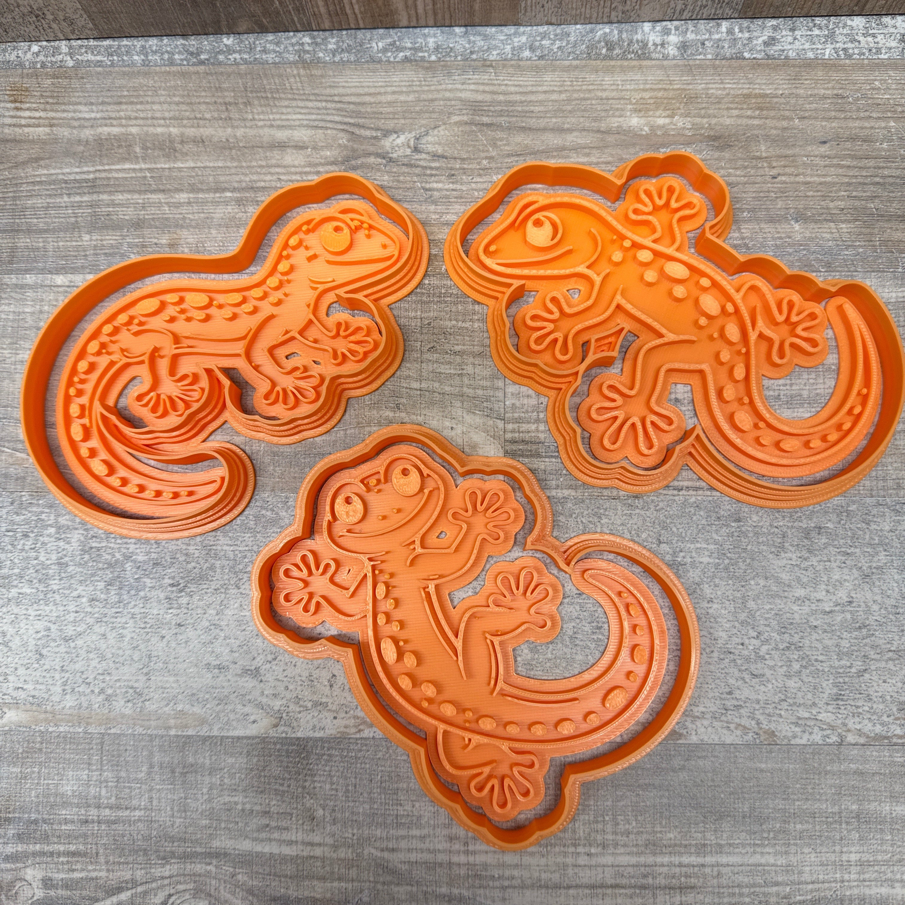 Gecko | Echse  | verschiedene Designs