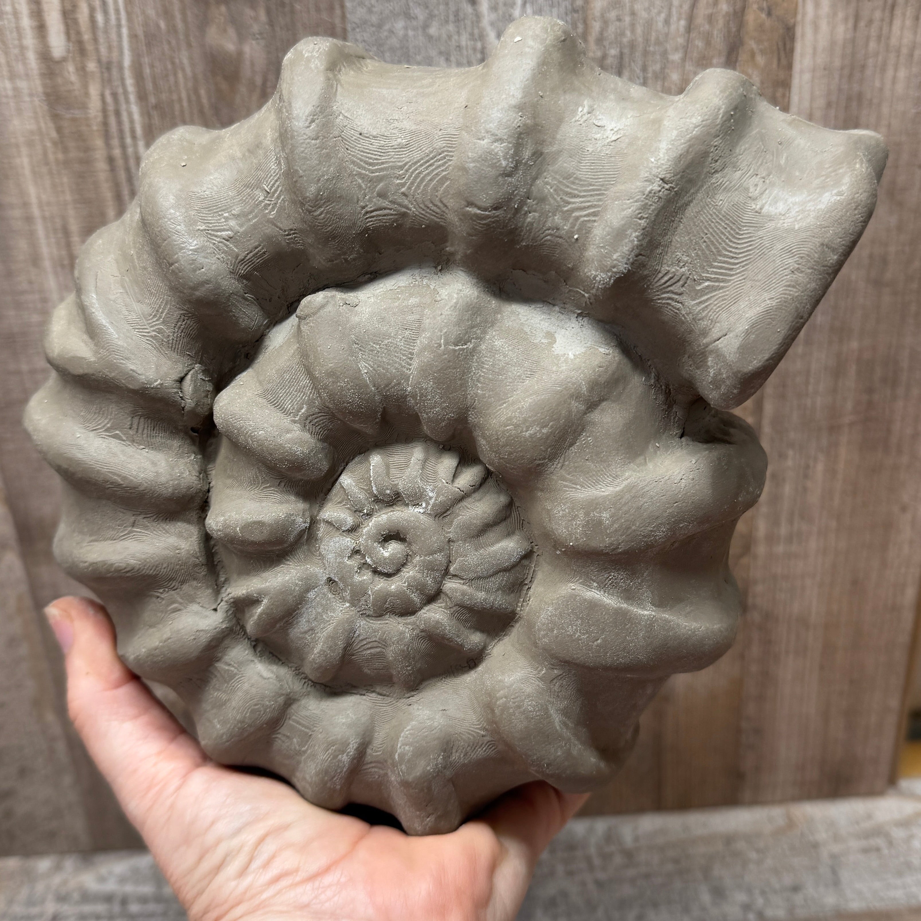 Nr. 1 in 20cm