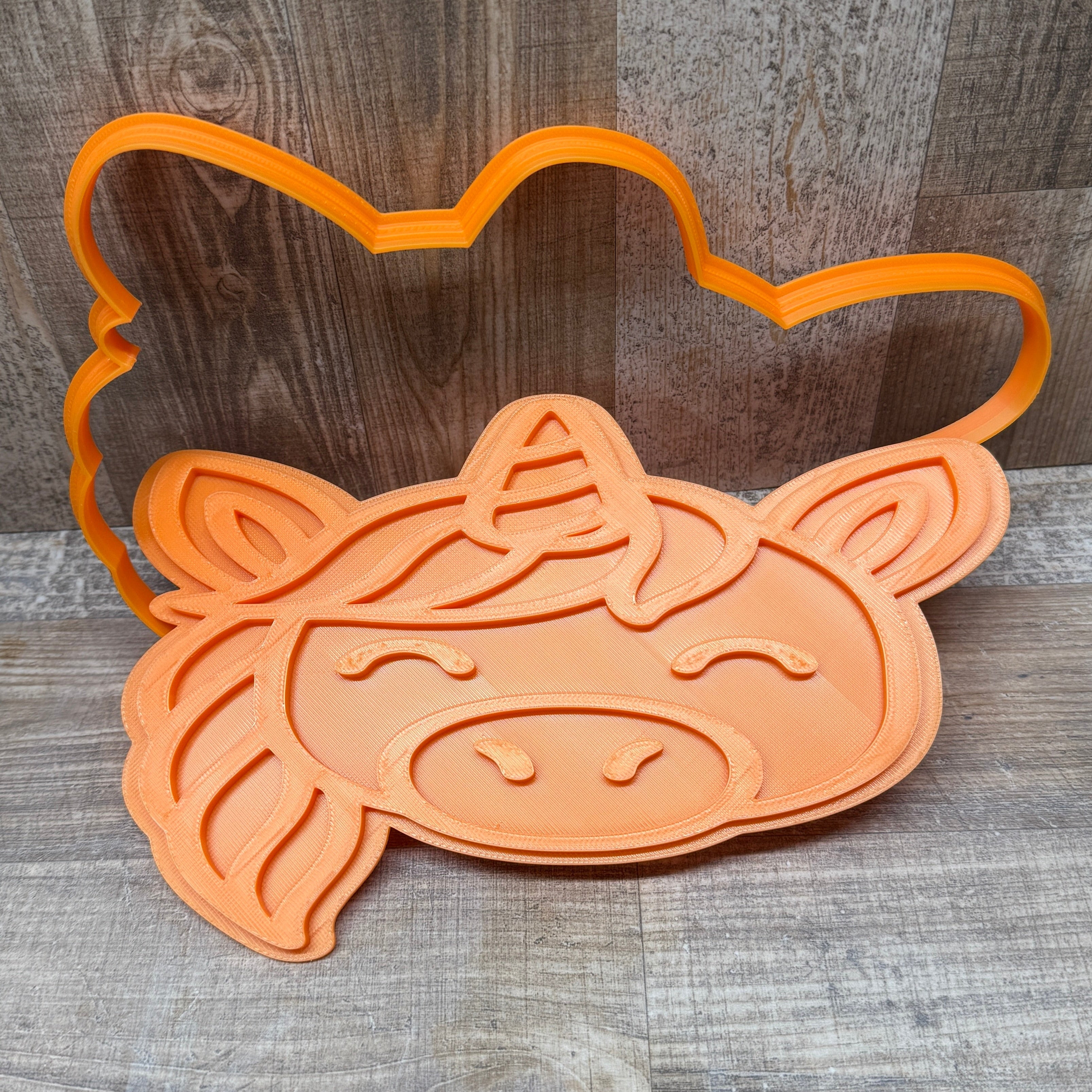 Brillenschale | verschiedene Designs