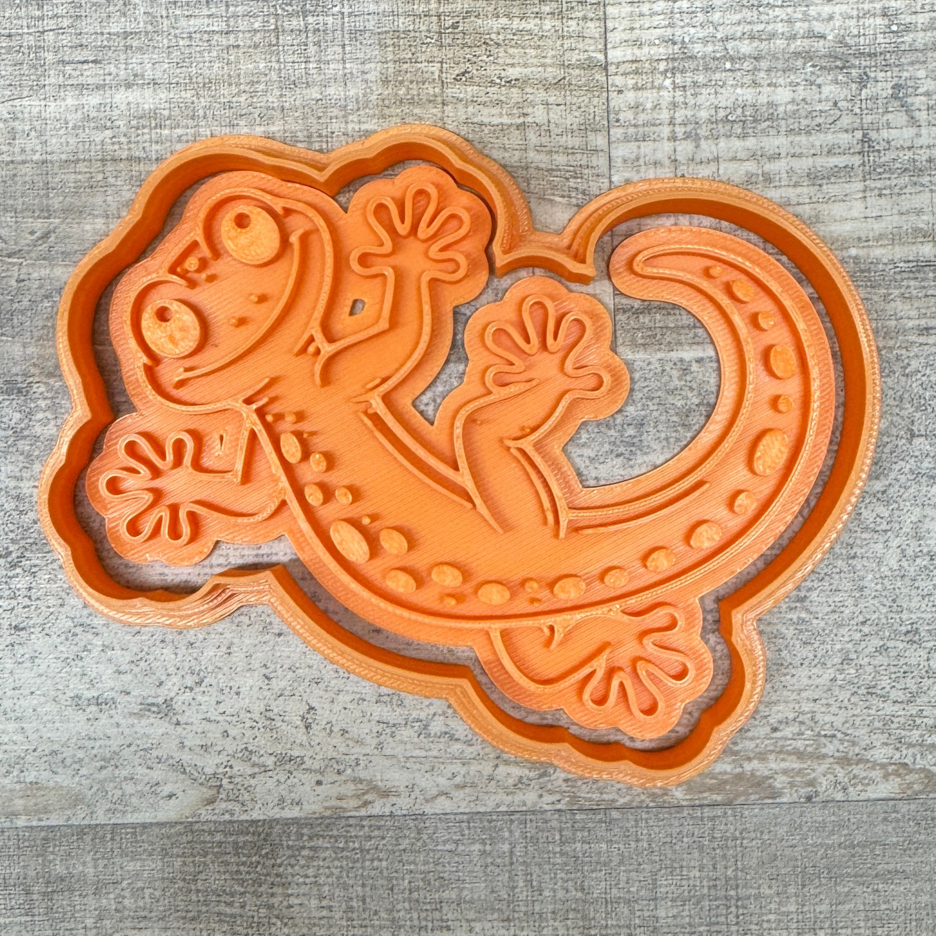 Gecko | Echse  | verschiedene Designs