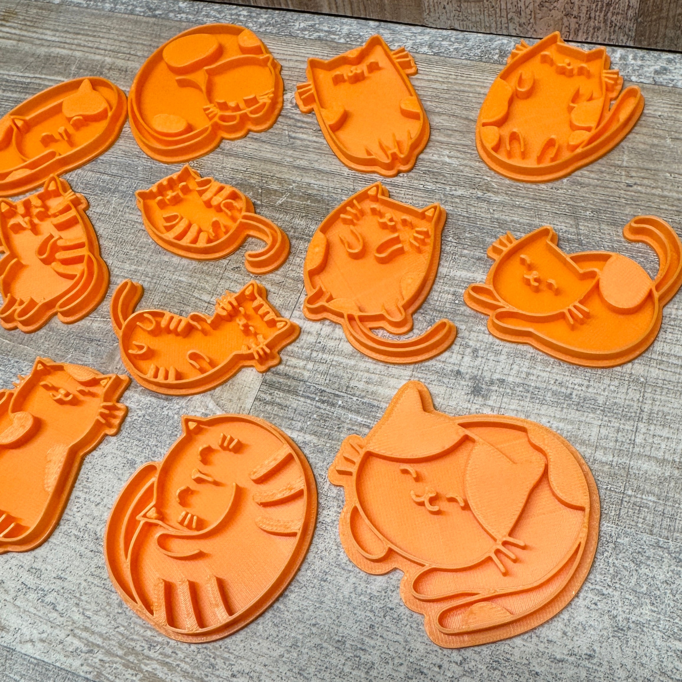 Katzen | verschiedene Sets und einzeln