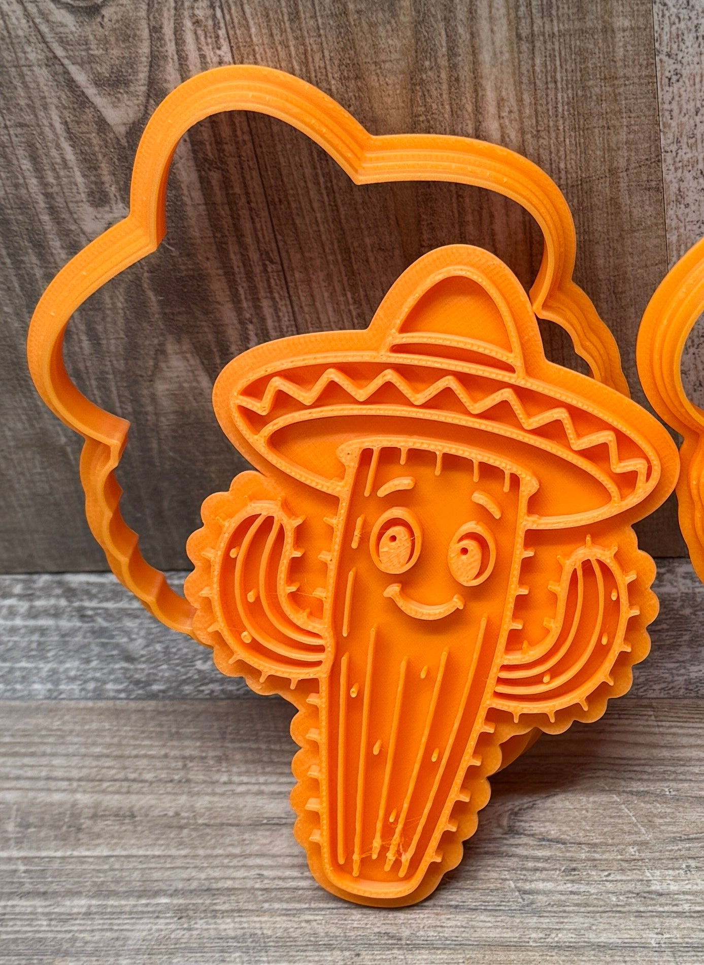 lustige Kakteen mit Sombrero | Einzeln und als Set | inkl. Konturenausstecher