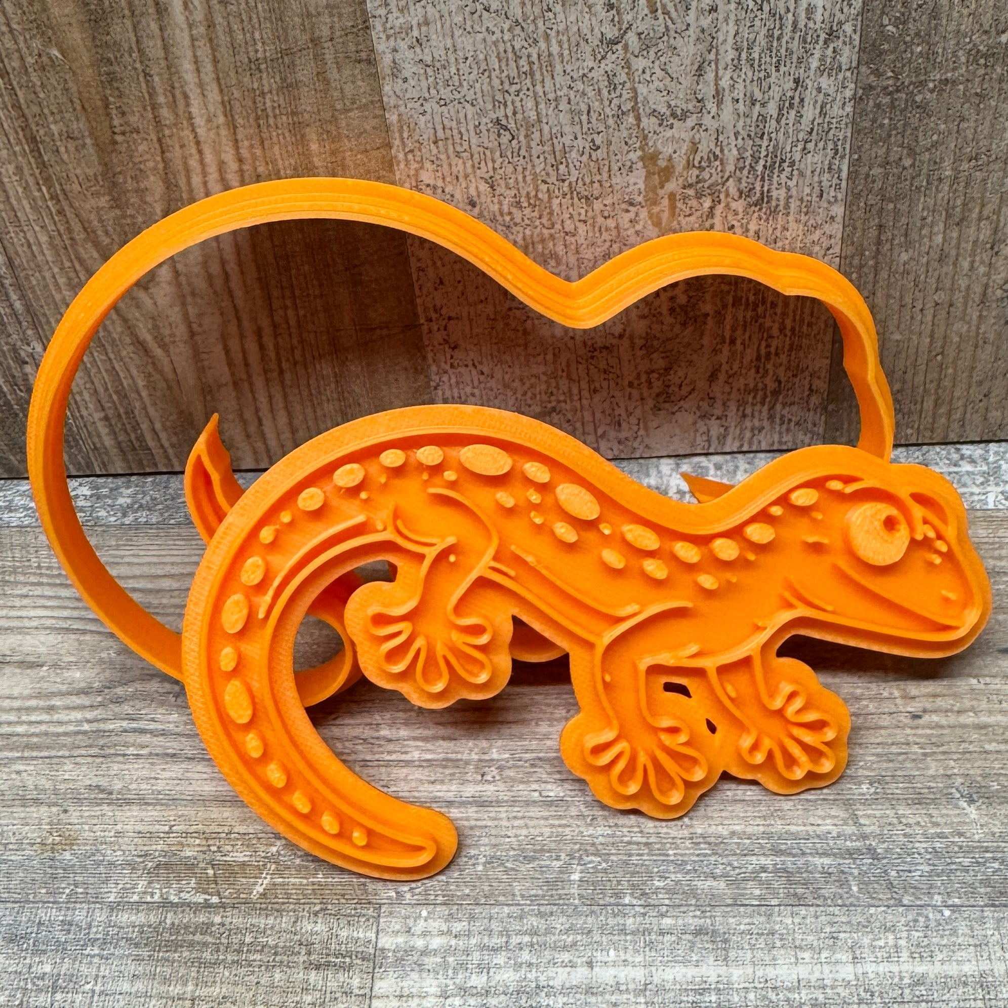 Gecko | Echse  | verschiedene Designs
