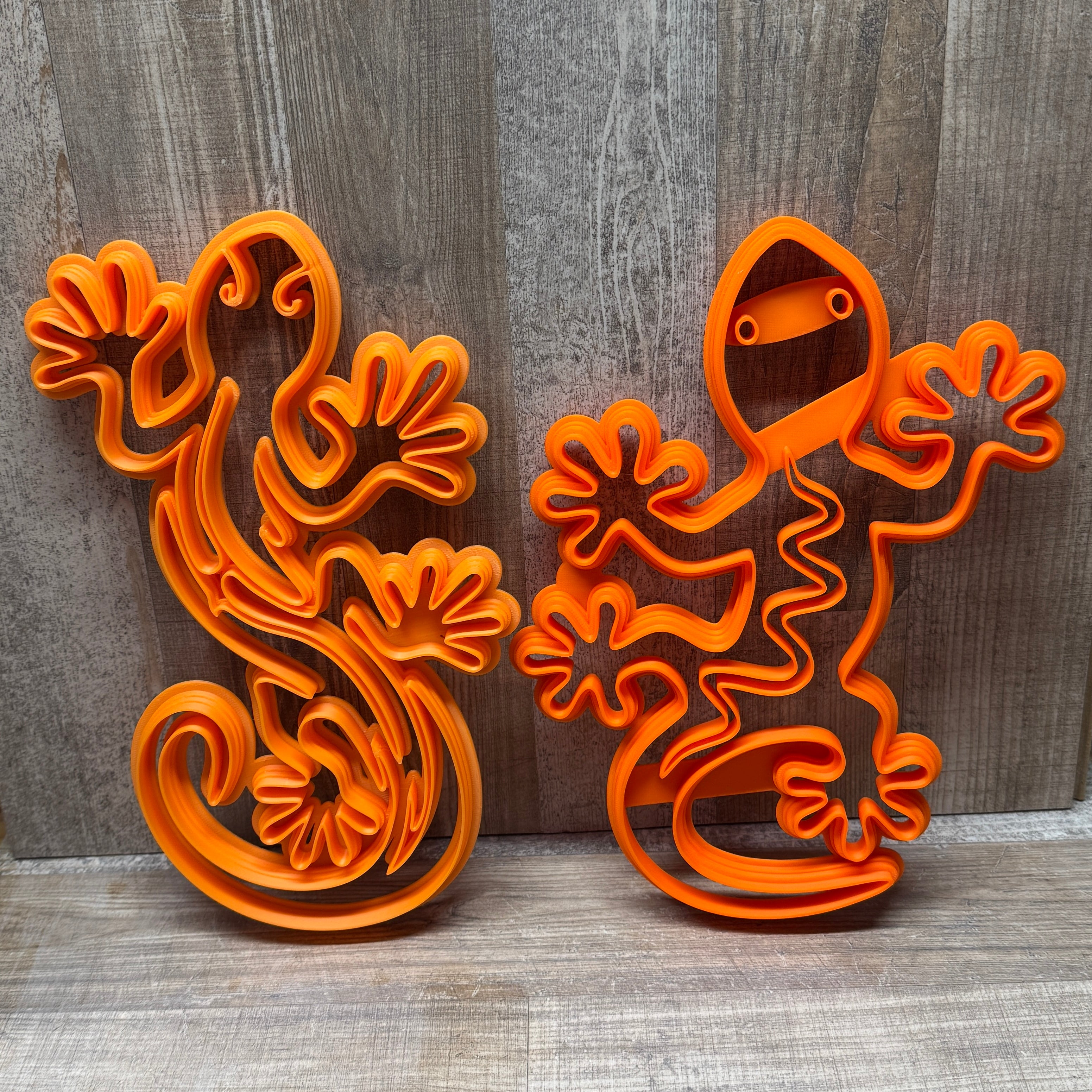 Gecko | Echse  | verschiedene Designs