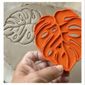 Monstera Blatt