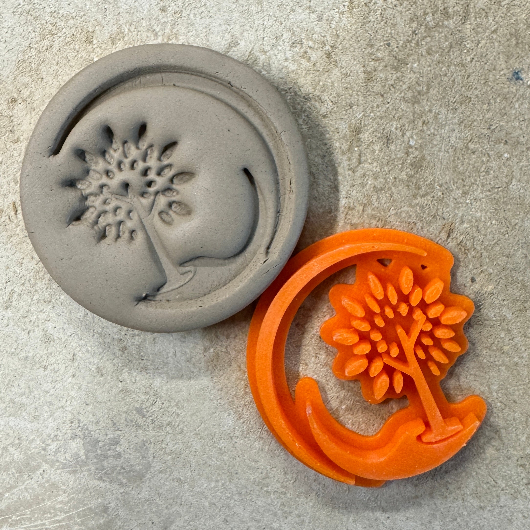 Baum wird von Hand getragen | verschiedene Größen