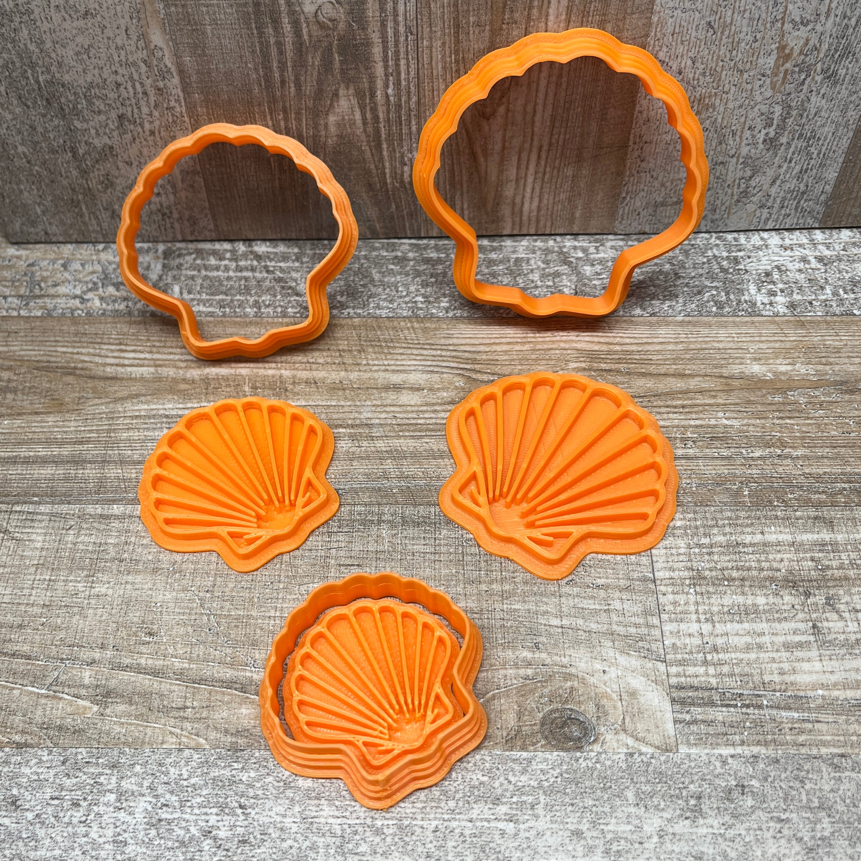 Jakobsmuschel inkl. Konturenausstecher | Set oder einzeln