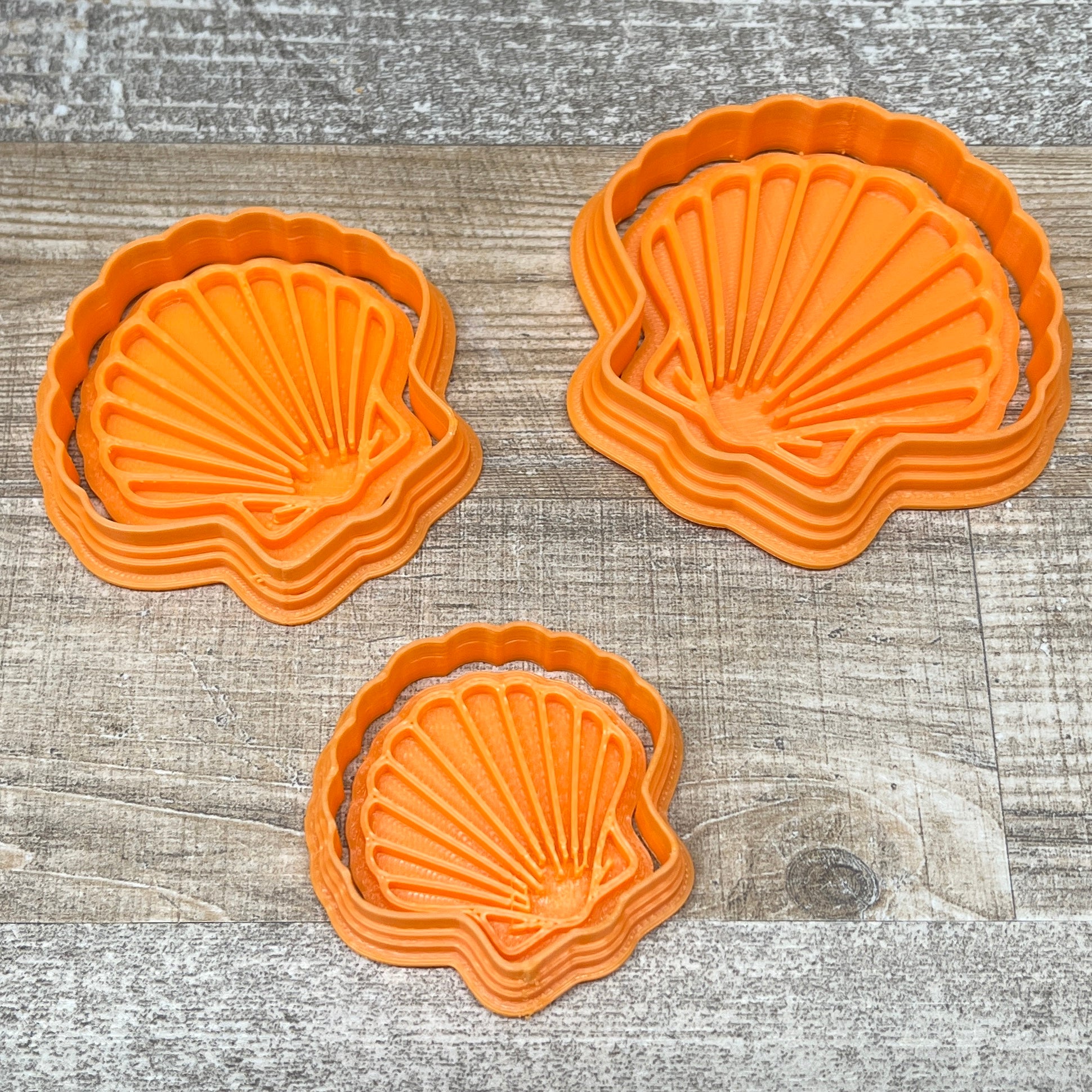 Jakobsmuschel inkl. Konturenausstecher | Set oder einzeln