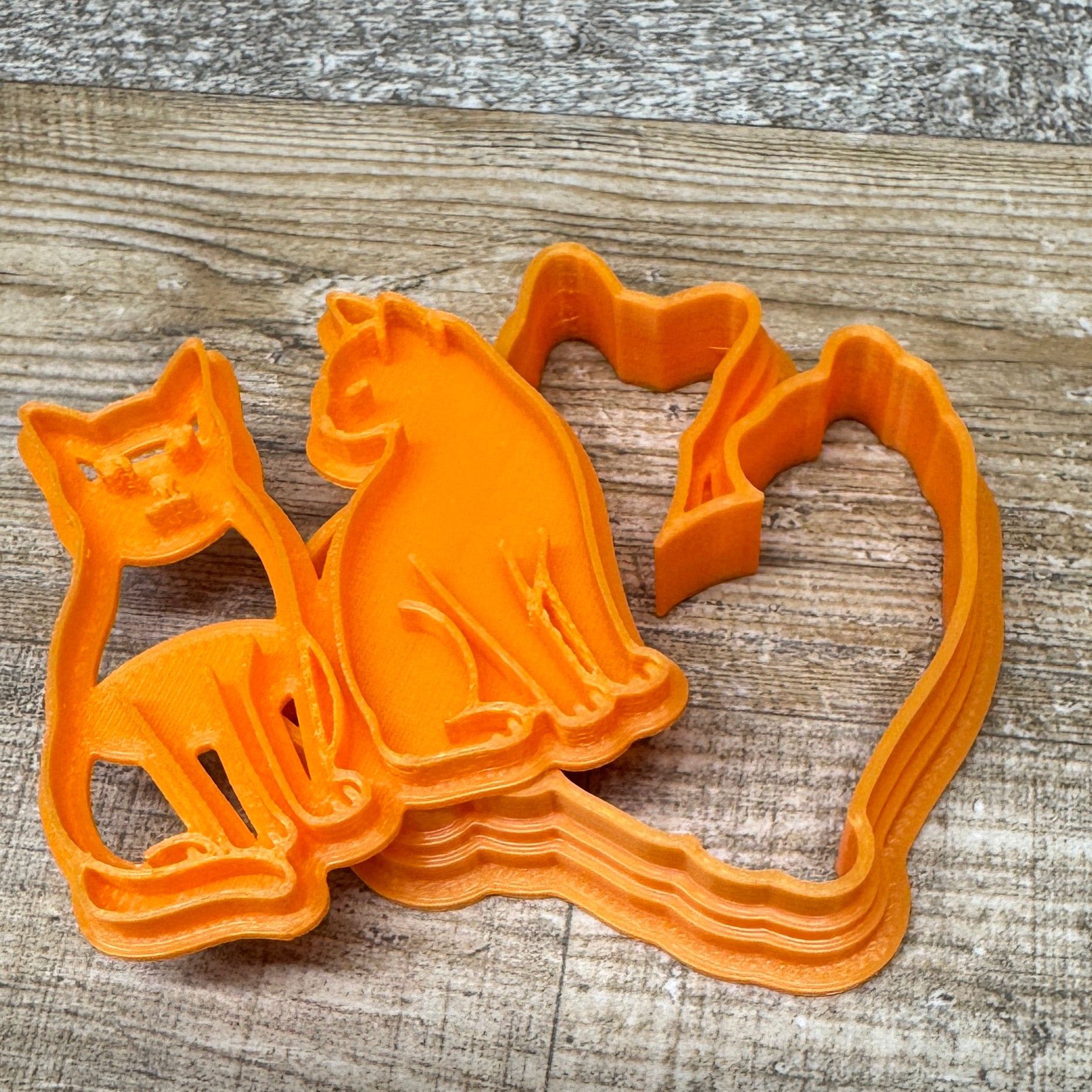 Katzen | verschiedene Designs inkl. Konturenausstecher