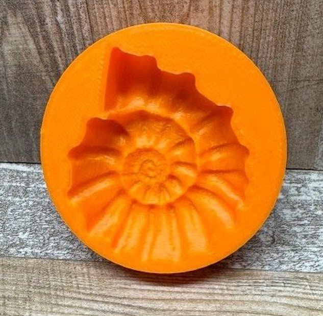 Ammoniten | 2 verschiedene Designs | Set