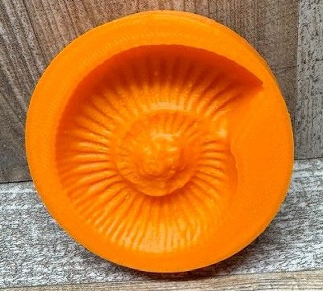 Ammoniten | 2 verschiedene Designs | Set