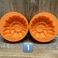 Ammoniten | 2 verschiedene Designs | Set