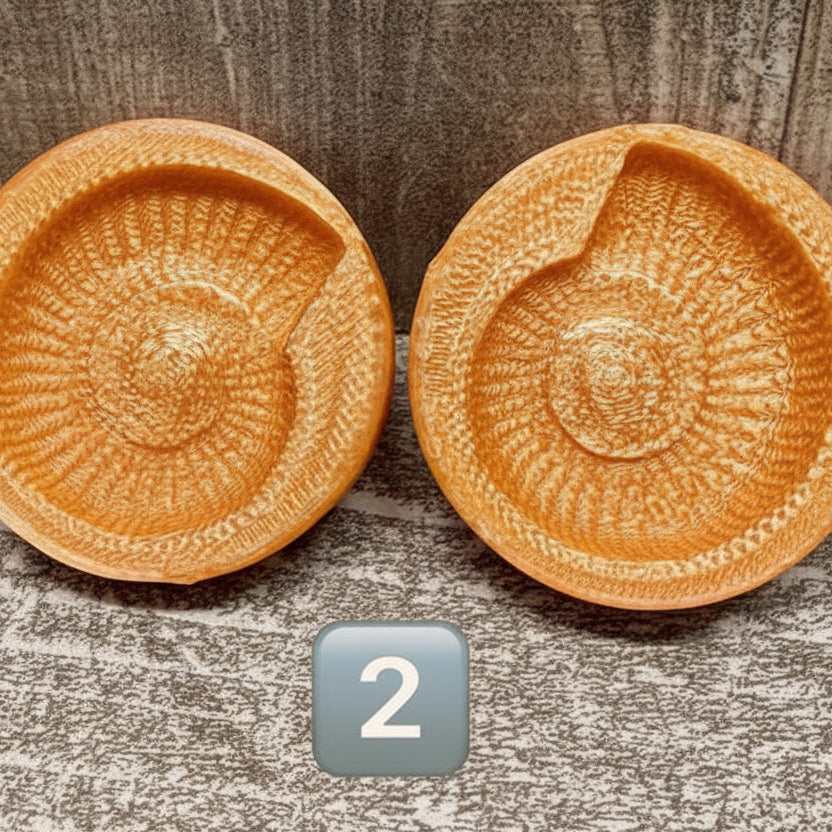 Ammoniten | 2 verschiedene Designs | Set