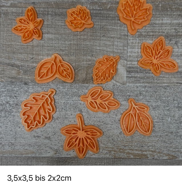 Herbstblätter | Set